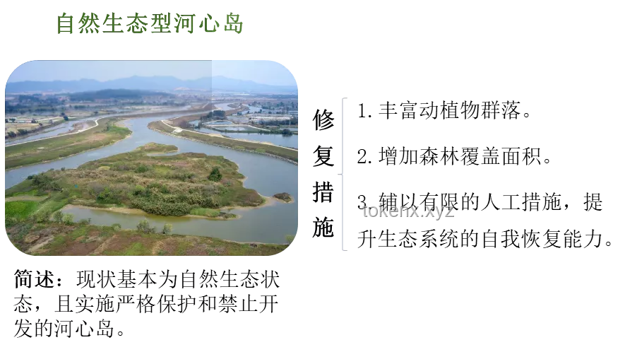 修水坝二期工程与溪流生态环境恢复：义不容辞的责任与策略